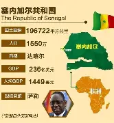 MK体育-塞内加尔摔跤强手一战成名，喷火吐焰英姿飒爽
